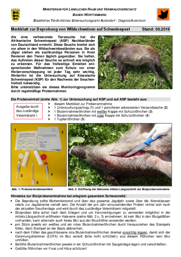 pdf-preview