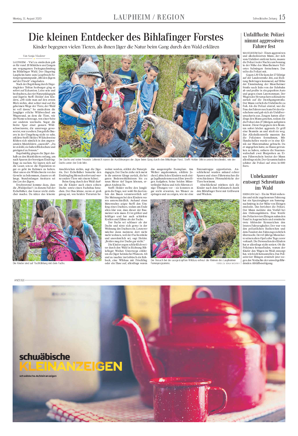 pdf-preview